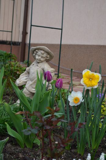 DSC_0751 - 1Gradina mult visata