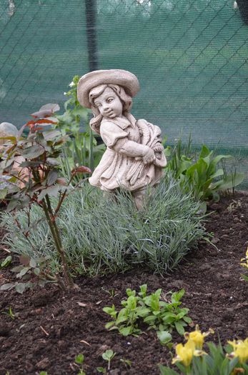 DSC_0758 - 1Gradina mult visata