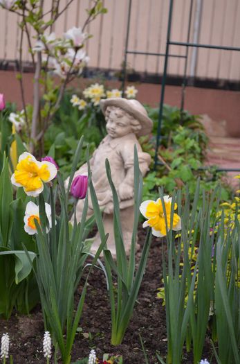 DSC_0760 - 1Gradina mult visata