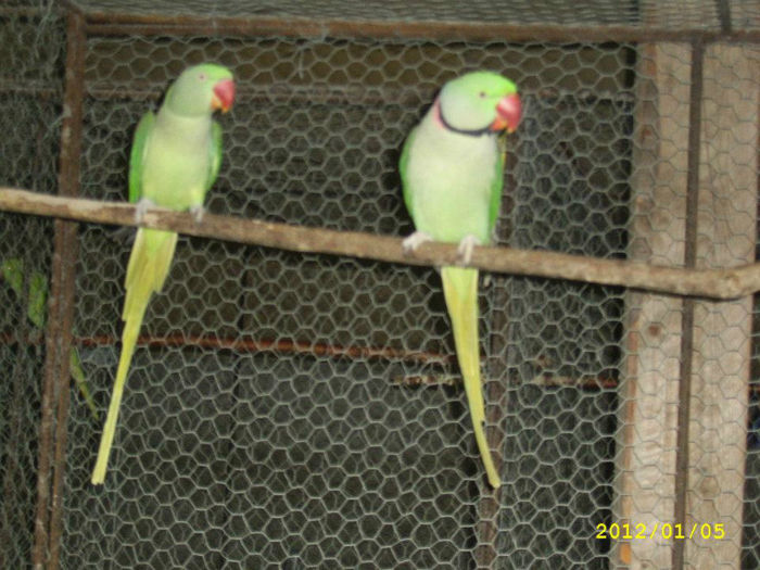 399151_104044419732457_523616452_n