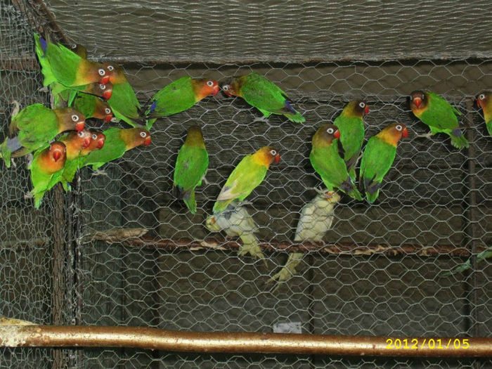 560754_104045203065712_1402355527_n