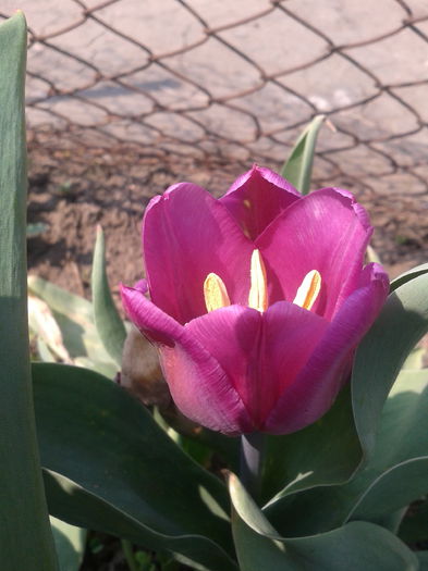 2013-04-21 12.56.26