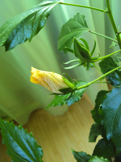 DSC02749