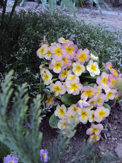 DSC02973