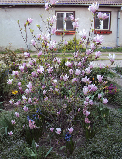 DSC02884