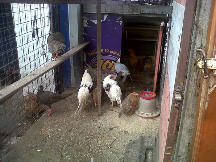 IMG00326-20130220-1206