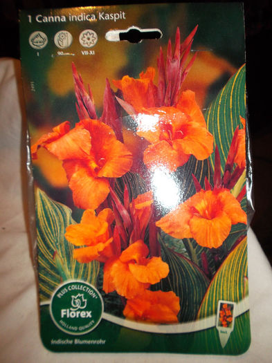 DSCF0902 - Achizitii 2013