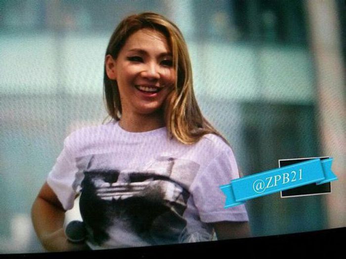 concert busan