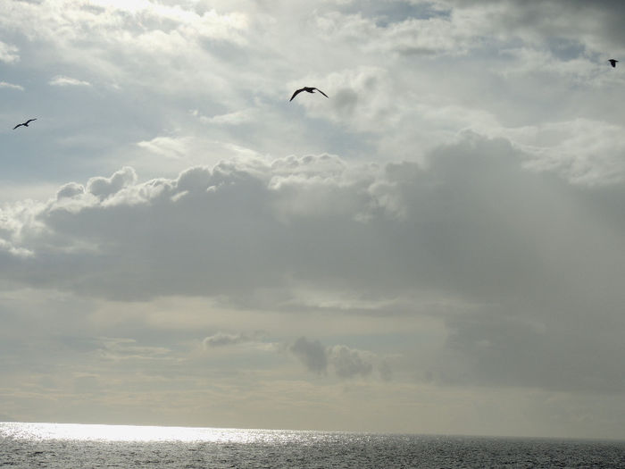 DSCN5206 - PE MAREA MEDITERANA