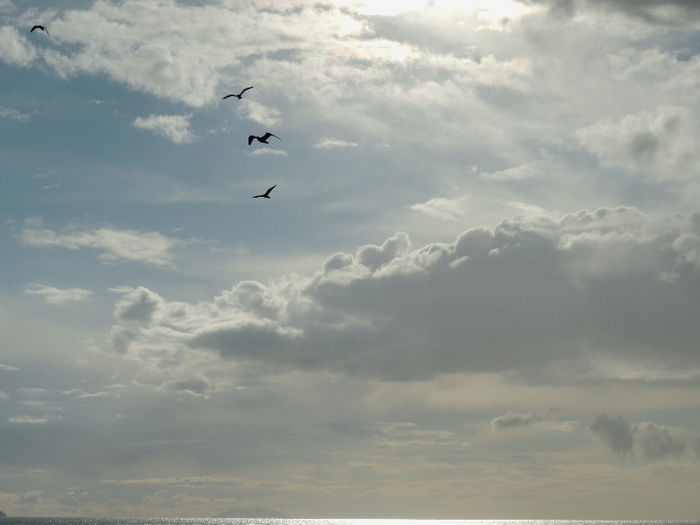 DSCN5208 - PE MAREA MEDITERANA