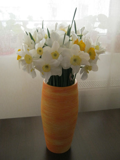 Narcise - Flori taiate