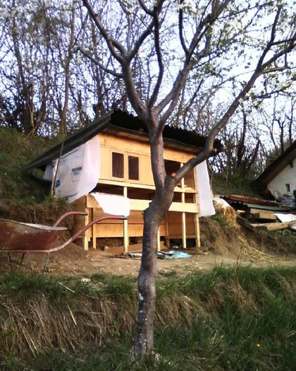 vedere laterala - Cusca cu cuib de fatare prototip