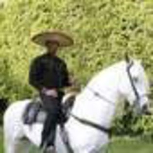 jorge-salinas-265876l-thumbnail_gallery