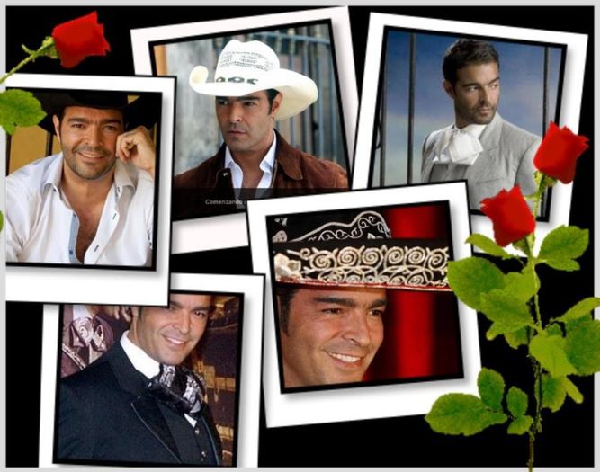 269216_497725780283998_2144719753_n