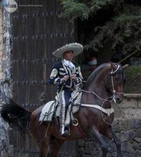 225886_168241266565786_915681_n