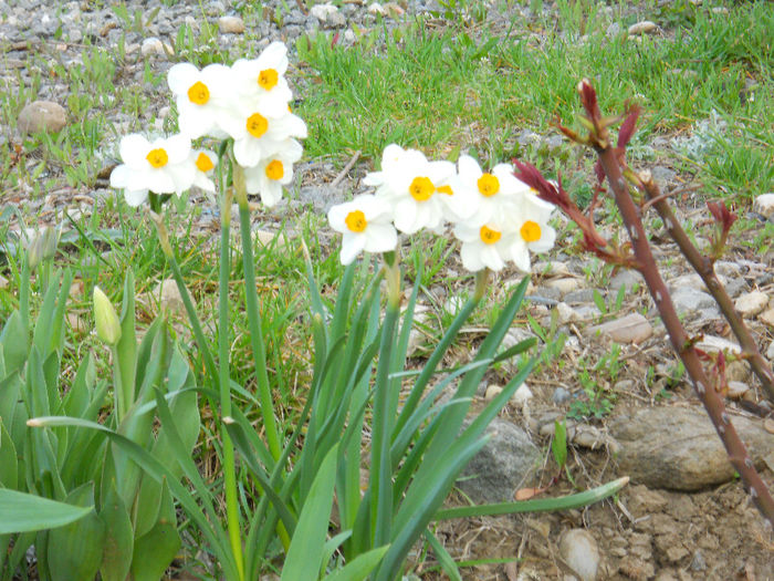 DSCN4158