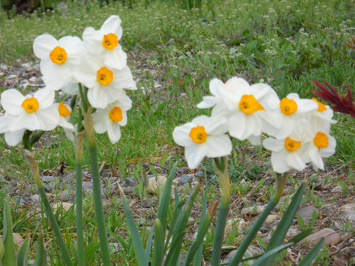 DSCN4160