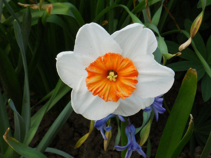 DSCN4175