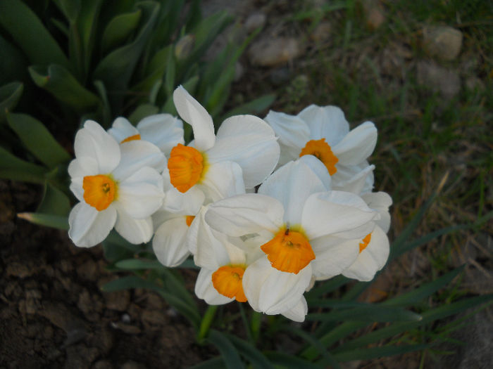 DSCN4207