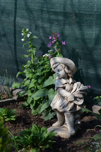 DSC_0767 - 1Gradina mult visata