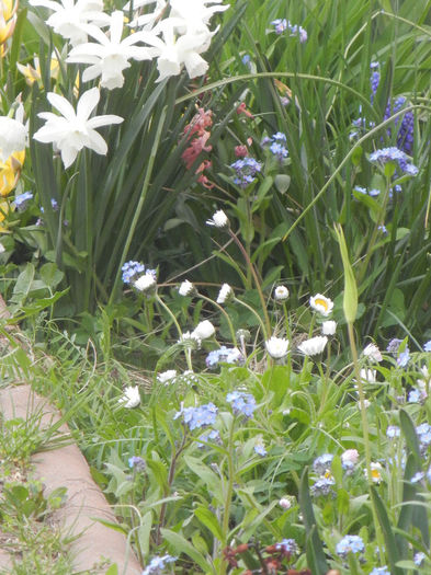 Spring colors (2013, April 20)