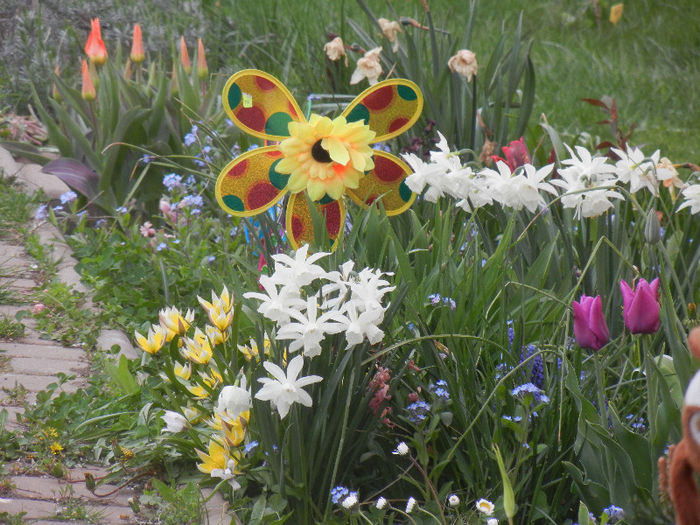 Spring colors (2013, April 20)