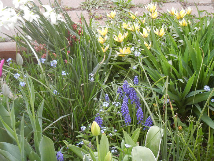 Spring colors (2013, April 20)
