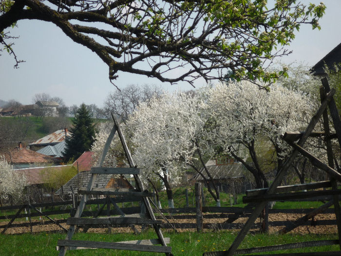 P1020683