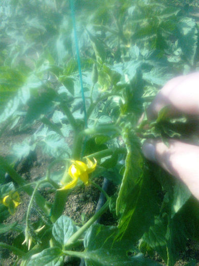 23.04.2013 ANTALYA - solarii dichiseni 2013