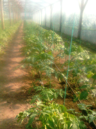 23.04.2013 ANTALYA - solarii dichiseni 2013