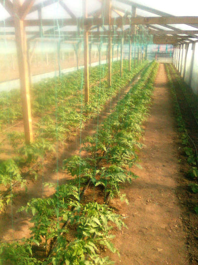 23.04.2013 ANTALYA - solarii dichiseni 2013