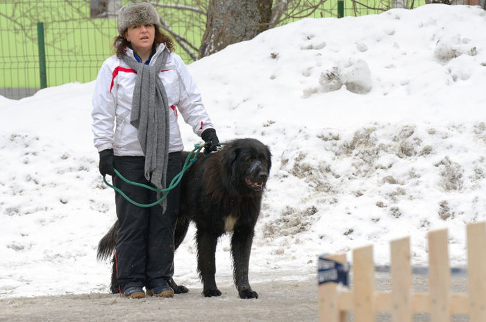20130302-DSC_1665 - Corbi la Predeal