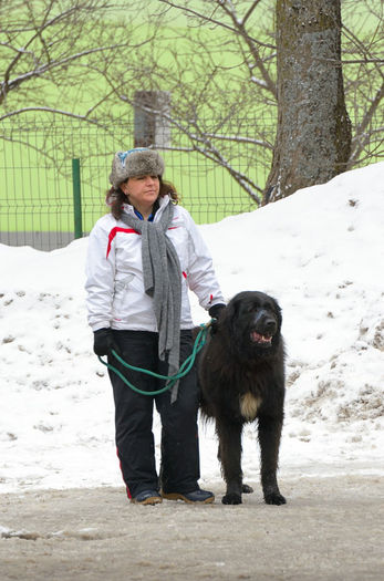 20130302-DSC_1668 - Corbi la Predeal