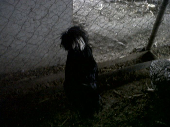 IMG00385-20130222-1656