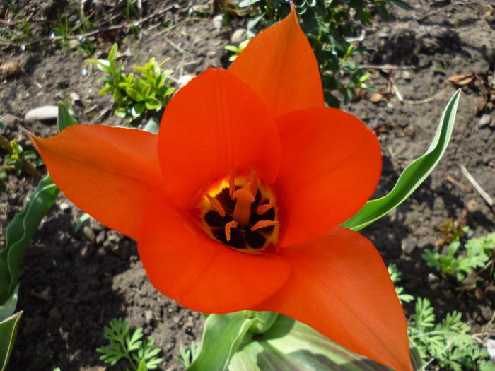 P1010578