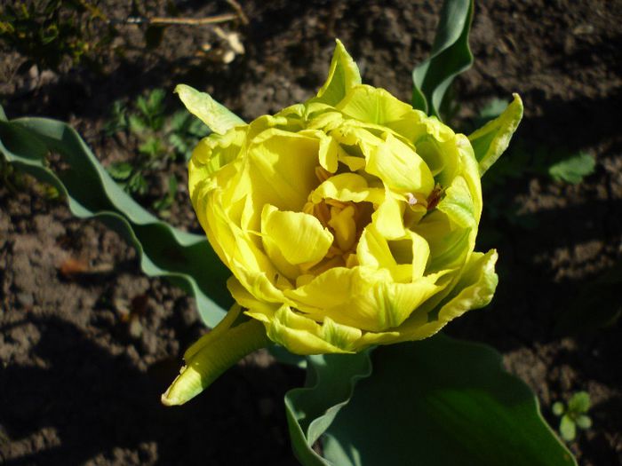 P1010588