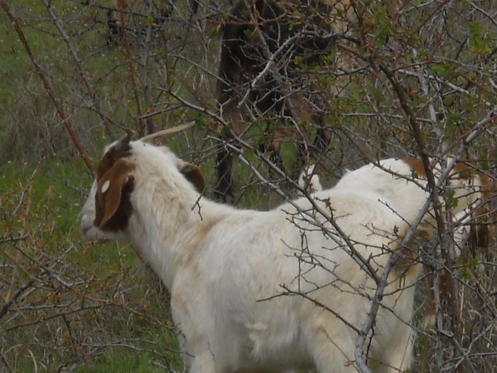 Picture 144; Prin imprejurimi
