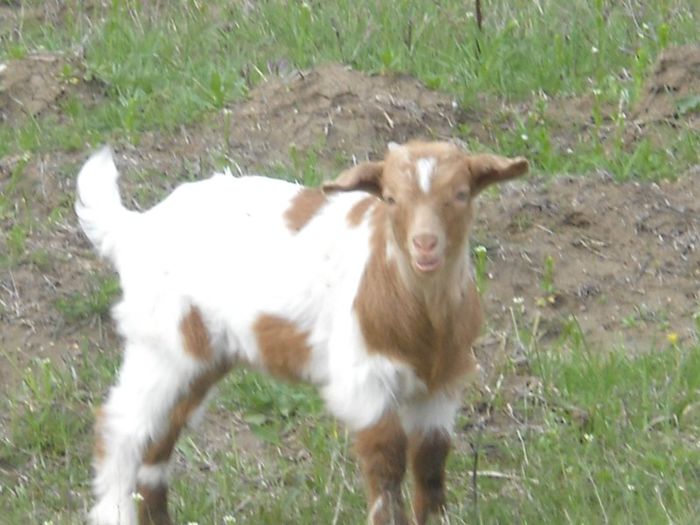 Picture 149; "Hei,tuuu!"
