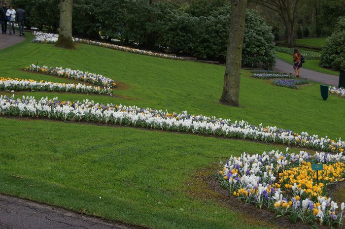 DSC08141 - keukenhof