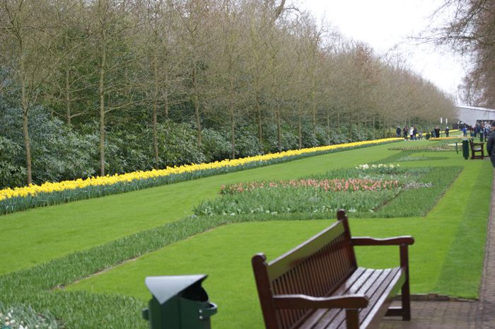 DSC08155 - keukenhof