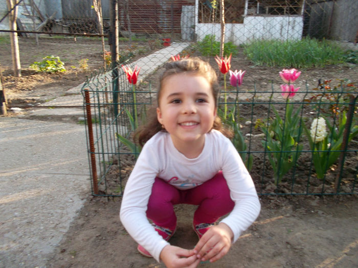 SAM_2182 - FLORI 2013