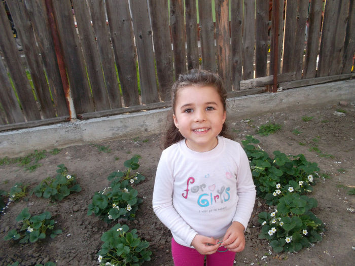 SAM_2184 - FLORI 2013