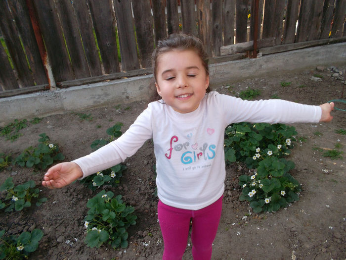 SAM_2185 - FLORI 2013