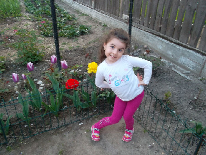 SAM_2201 - FLORI 2013