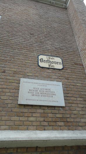 DSC04533 - Prin Viena