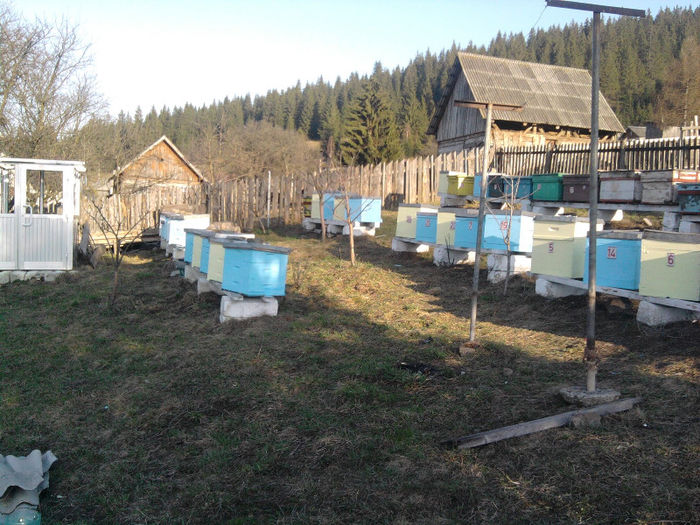 Fotografie5165 - Stupina-Stationar deocamdata