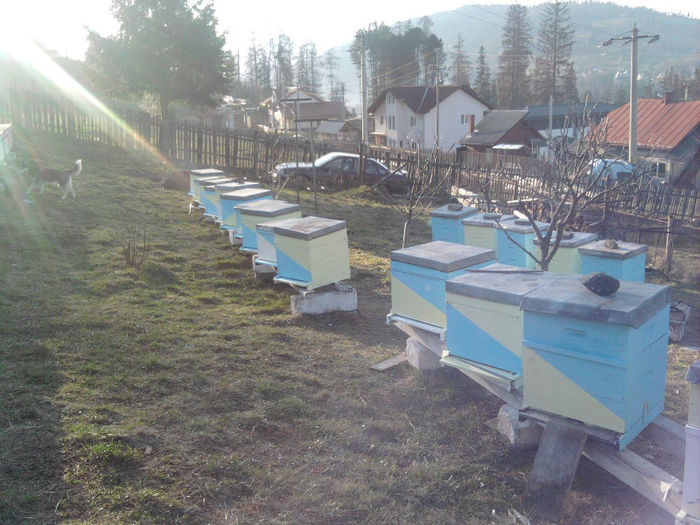 Fotografie5166 - Stupina-Stationar deocamdata