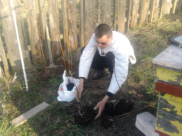 Fotografie5234 - Stupina-Stationar deocamdata