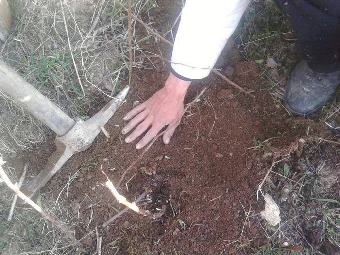 Fotografie5239 - Stupina-Stationar deocamdata