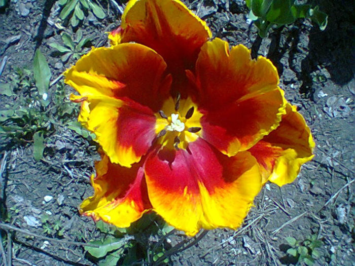 Fotogr.0962